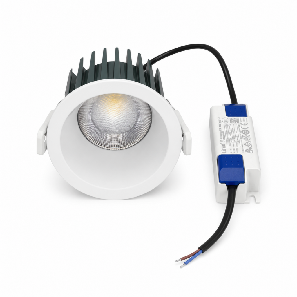 COB PROJECT DOWN LIGHT 12W